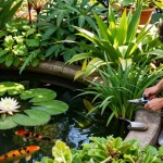 Pond Plants thriving in a serene garden pond, with a gardener tending to vibrant water lilies and koi fish.
